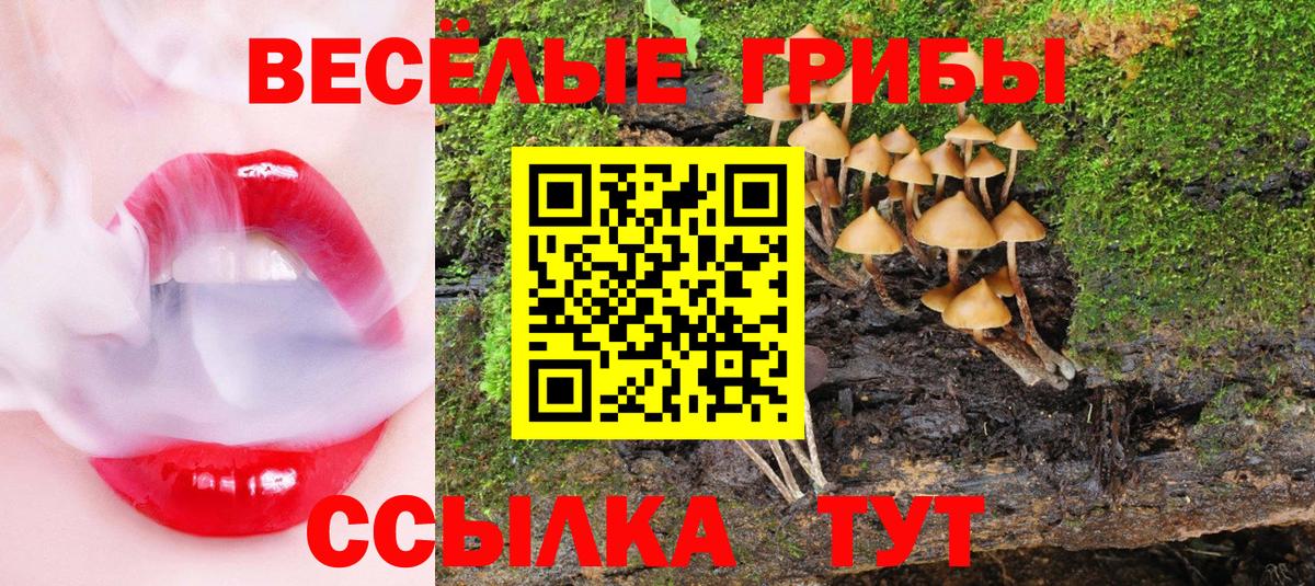 Псилоцибиновые грибы мухоморы  Вход с VPN  Курчатов 