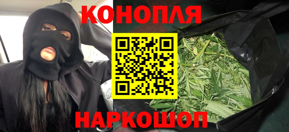 Канабис OG Kush Курчатов